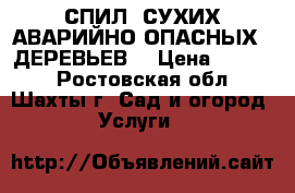 СПИЛ  СУХИХ АВАРИЙНО ОПАСНЫХ . ДЕРЕВЬЕВ  › Цена ­ 1 000 - Ростовская обл., Шахты г. Сад и огород » Услуги   